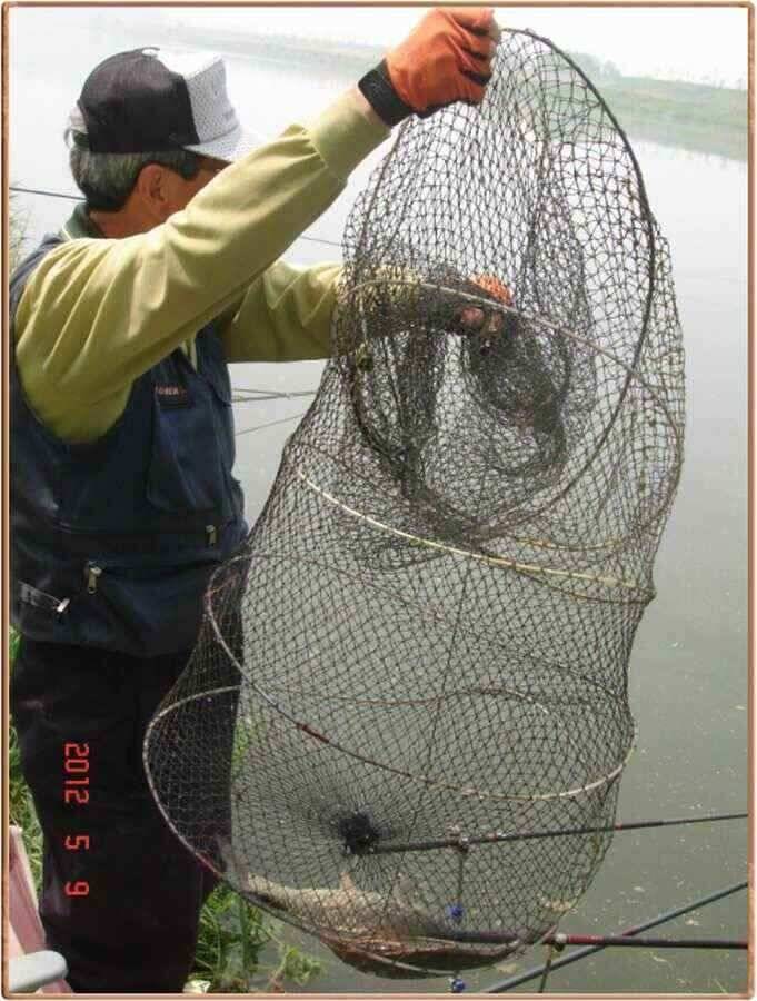 진위천 조황소식 (조황조행기 - 낚시점조황)