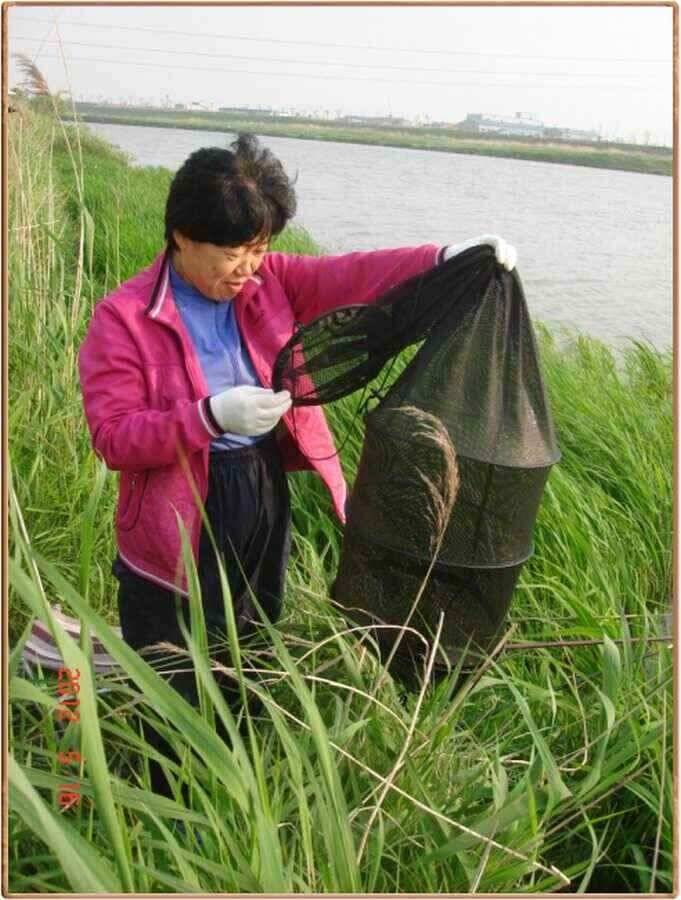 진위천 조황소식 (조황조행기 - 낚시점조황)