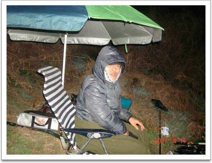 진위천 주말 까지 호조황으로 이어 질듯 (조황조행기 - 낚시점조황)