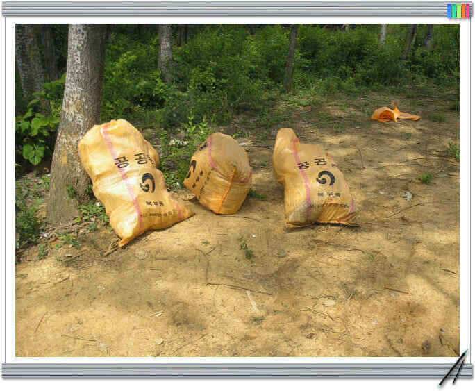 장마의 시작에서 (조황조행기 - 낚시점조황)