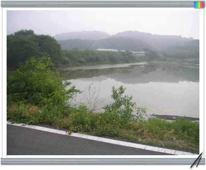 장마의 시작에서 (조황조행기 - 낚시점조황)