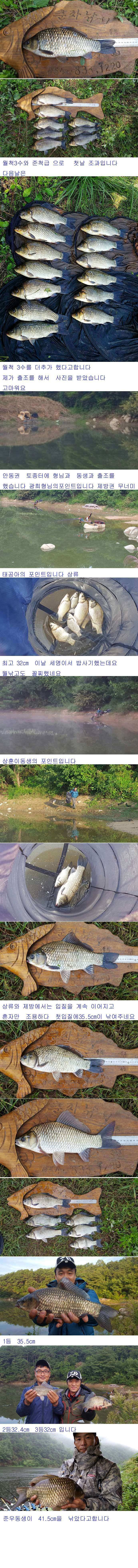 안동권 5짜 소식과 의성권 조황입니다 (조황조행기 - 낚시점조황)