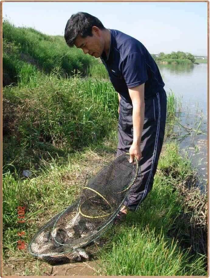 진위천 조황소식 (조황조행기 - 낚시점조황)
