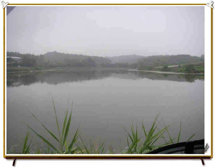 7월 첫째주 조황정보입니다 (조황조행기 - 낚시점조황)