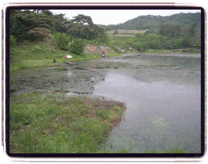 행복한 지난주였습니다 (조황조행기 - 낚시점조황)