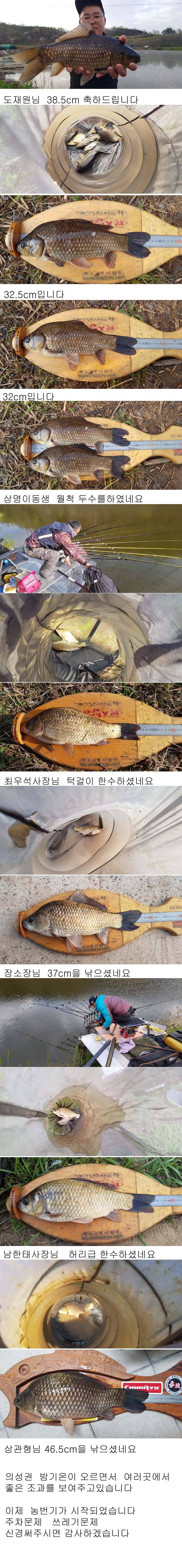 의성권 최대 465cm까지 나와주네요 (조황조행기 - 낚시점조황)
