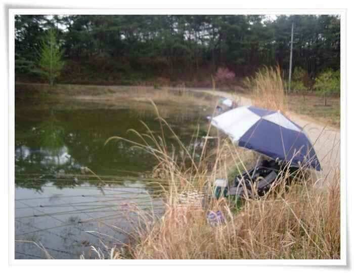 괴물과 대물 (조황조행기 - 낚시점조황)