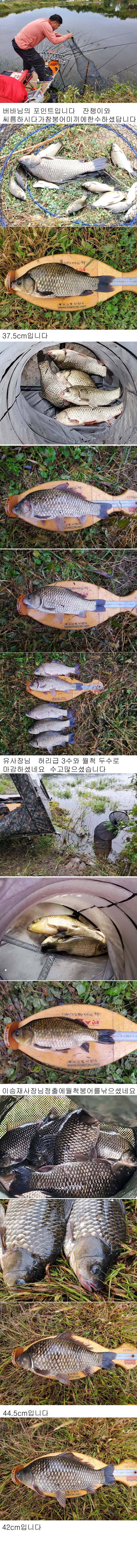 의성권 연휴 조황입니다 최고 476cm까지 수정이 안되 다시올렸습니다 (조황조행기 - 낚시점조황)