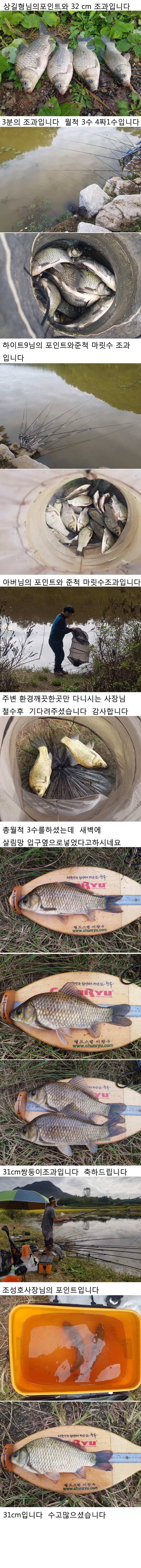의성 가을 4짜와 허리급붕어입니다 (조황조행기 - 낚시점조황)