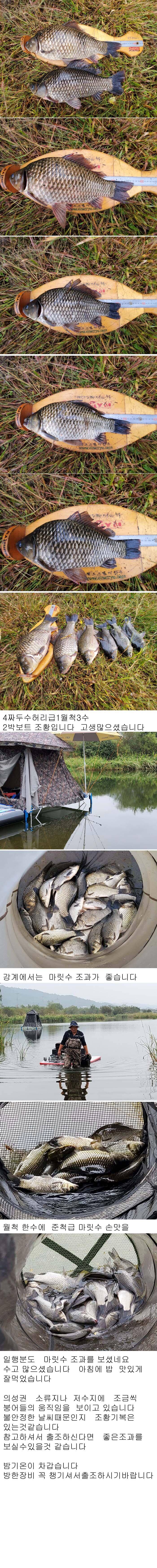 의성권 연휴 조황입니다 최고 476cm까지 수정이 안되 다시올렸습니다 (조황조행기 - 낚시점조황)