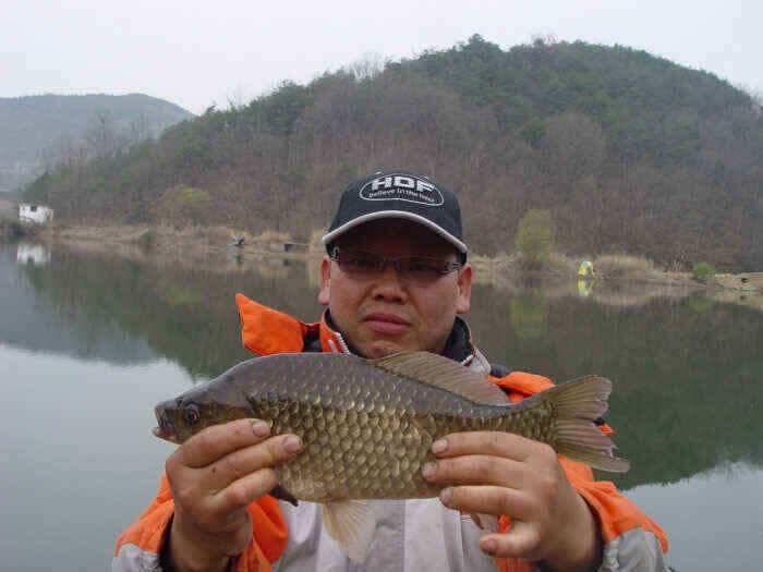 구미지역 4월3주차 조황정보 (조황조행기 - 낚시점조황)