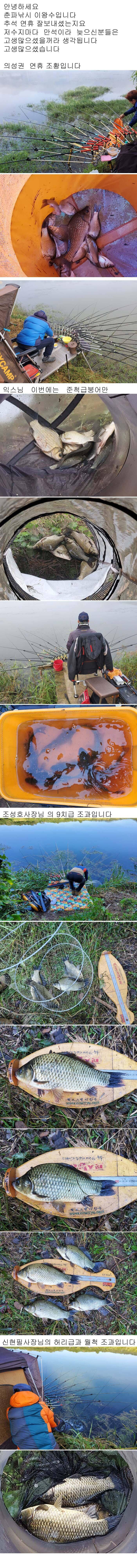 의성권 연휴 조황입니다 최고 476cm까지 수정이 안되 다시올렸습니다 (조황조행기 - 낚시점조황)
