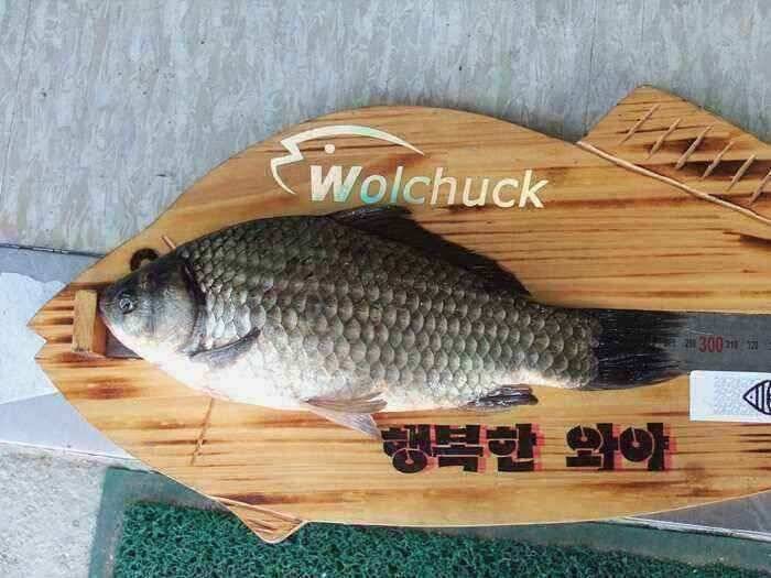4월초 구미 붕어낚시 상황및 조황 (조황조행기 - 낚시점조황)