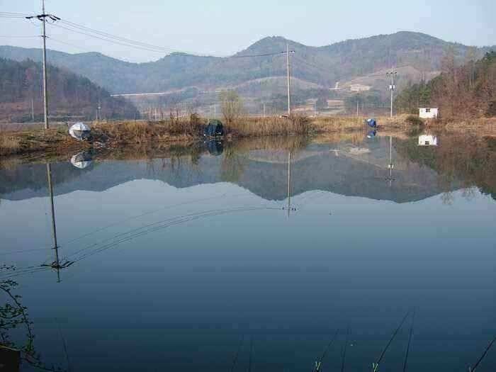 4월초 구미 붕어낚시 상황및 조황 (조황조행기 - 낚시점조황)