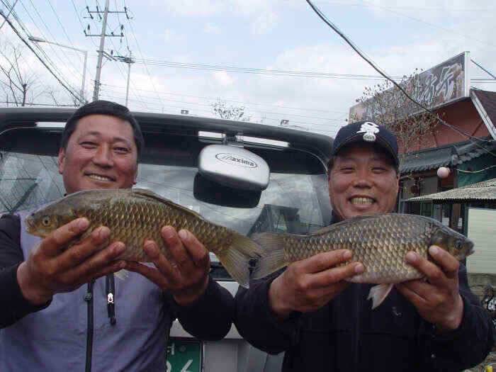 구미지역 4월3주차 조황정보 (조황조행기 - 낚시점조황)