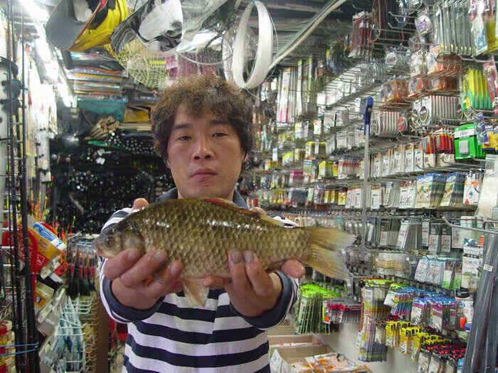 구미지역 9월3주차 조황정보 (조황조행기 - 낚시점조황)