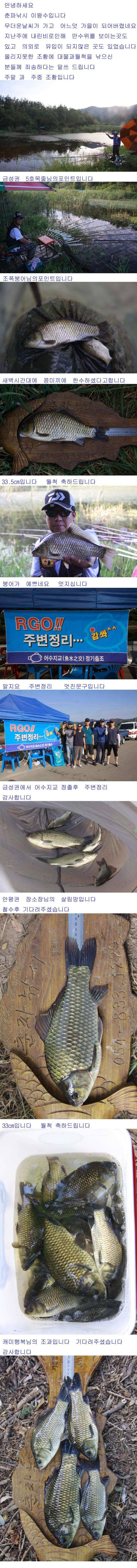 47cm 대어와 허리급 붕어입니다 (조황조행기 - 낚시점조황)