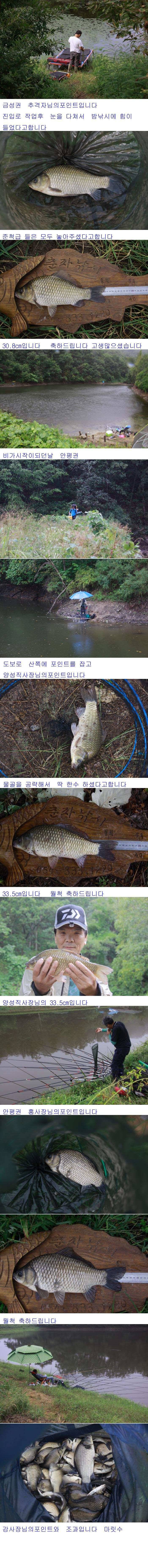 47cm 대어와 허리급 붕어입니다 (조황조행기 - 낚시점조황)