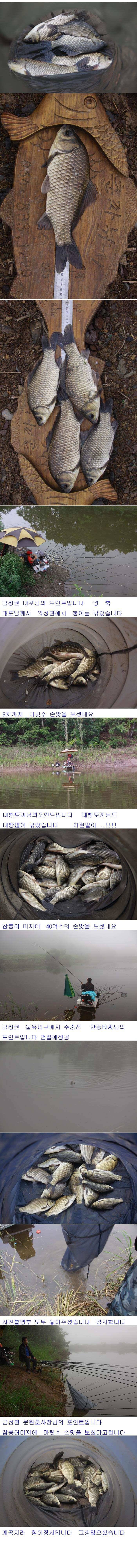 47cm 대어와 허리급 붕어입니다 (조황조행기 - 낚시점조황)