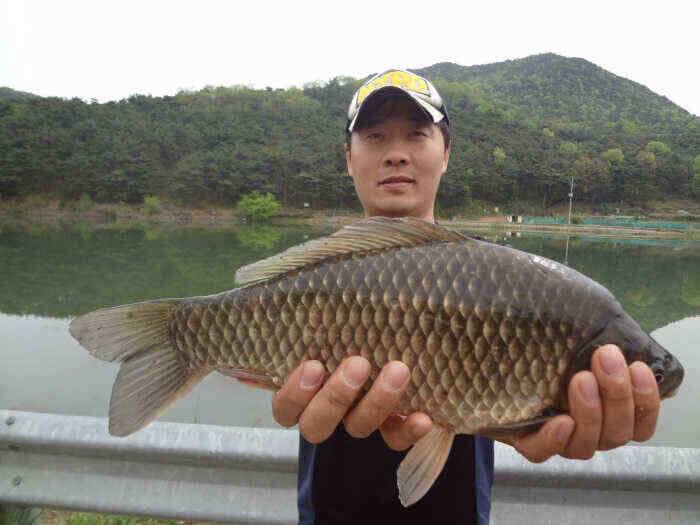 구미지역 항공모함 퍼래이드 2 구평낚시 (조황조행기 - 낚시점조황)