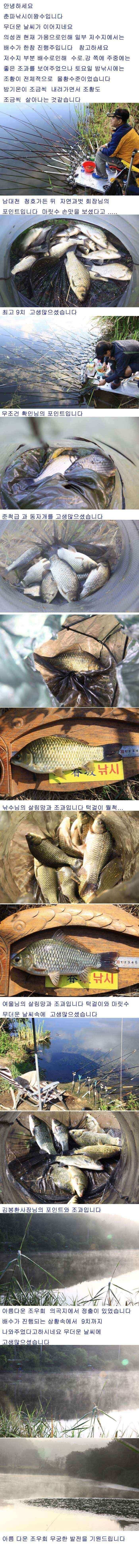 의성권 조황입니다 (조황조행기 - 낚시점조황)