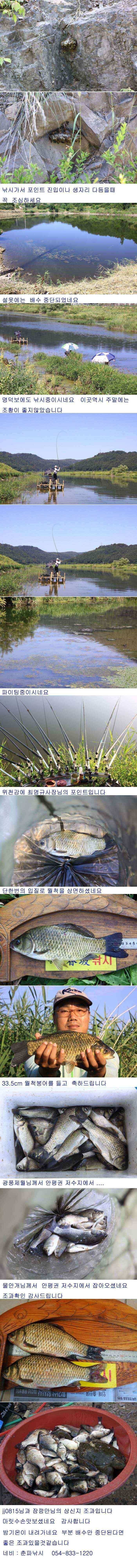 의성권 조황입니다 (조황조행기 - 낚시점조황)