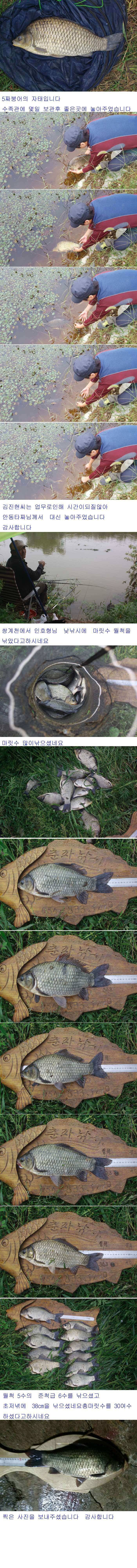 안동권 5짜 소식과 의성권 조황입니다 (조황조행기 - 낚시점조황)