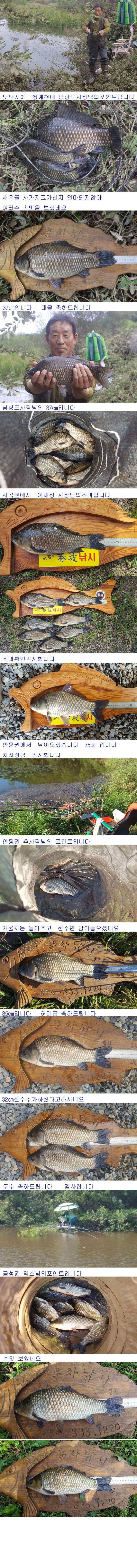 안동권 5짜 소식과 의성권 조황입니다 (조황조행기 - 낚시점조황)