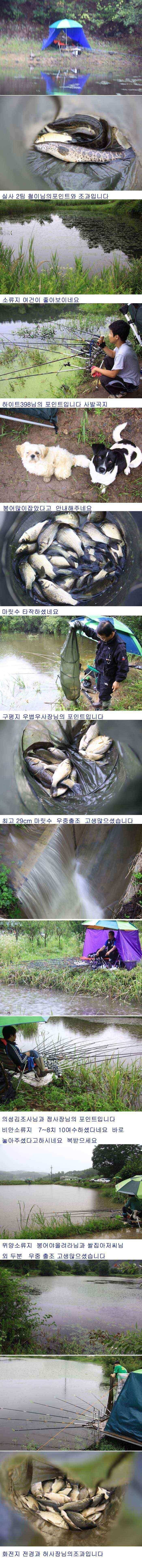 의성권 주말 월척 조황입니다 (조황조행기 - 낚시점조황)