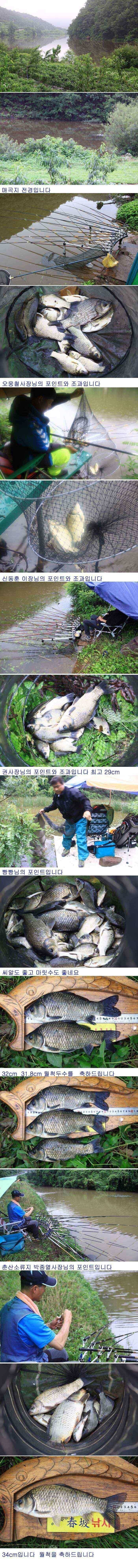 의성권 주말 월척 조황입니다 (조황조행기 - 낚시점조황)