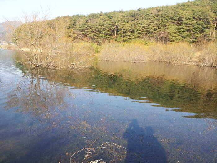 밀양 옥산낚시 (조황조행기 - 낚시점조황)