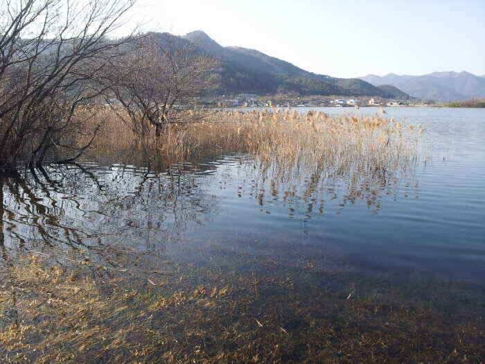 밀양 옥산낚시 (조황조행기 - 낚시점조황)