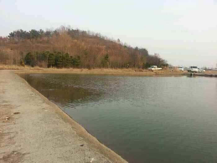 밀양 옥산낚시 (조황조행기 - 낚시점조황)
