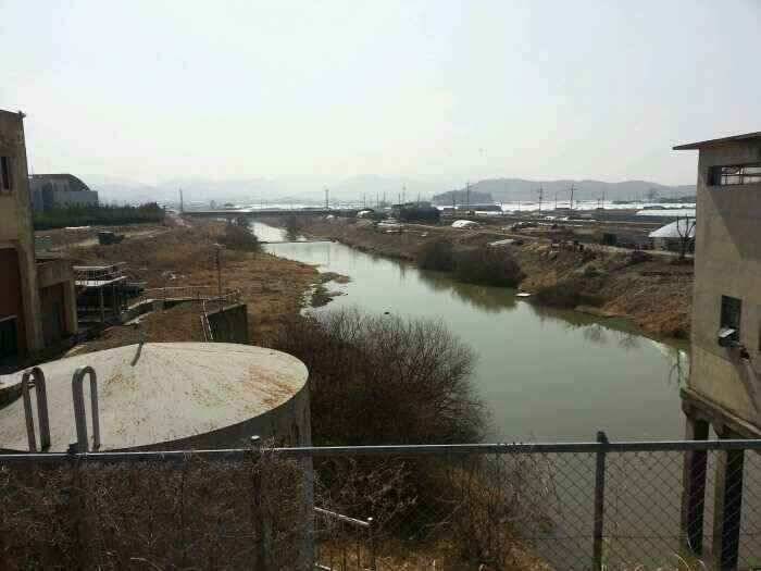 밀양 옥산낚시 (조황조행기 - 낚시점조황)