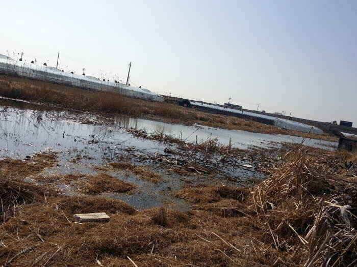 밀양 옥산낚시 (조황조행기 - 낚시점조황)