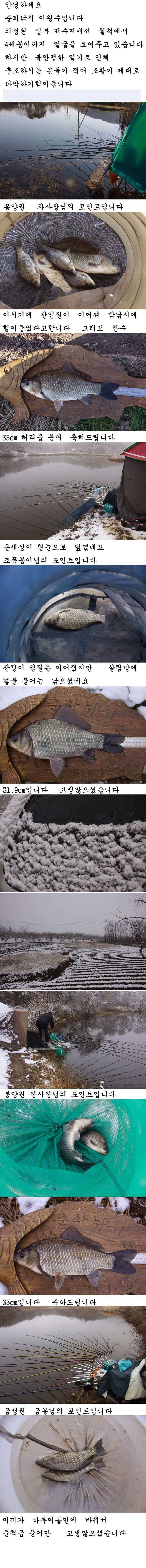 의성권 4짜두수 허리급 조황입니다 (조황조행기 - 낚시점조황)