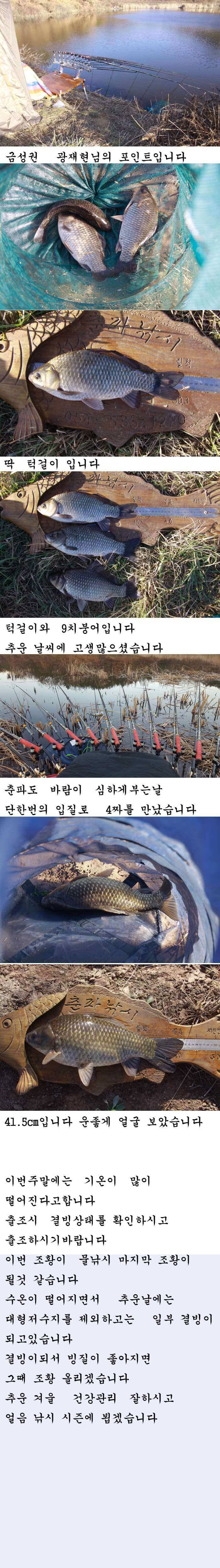 의성권 4짜두수 허리급 조황입니다 (조황조행기 - 낚시점조황)