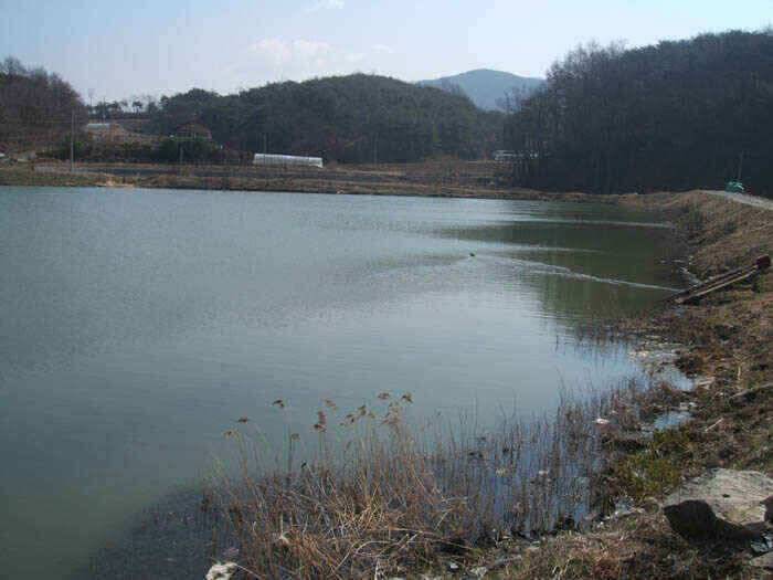 그림으로 보는 안동호 (조황조행기 - 낚시점조황)