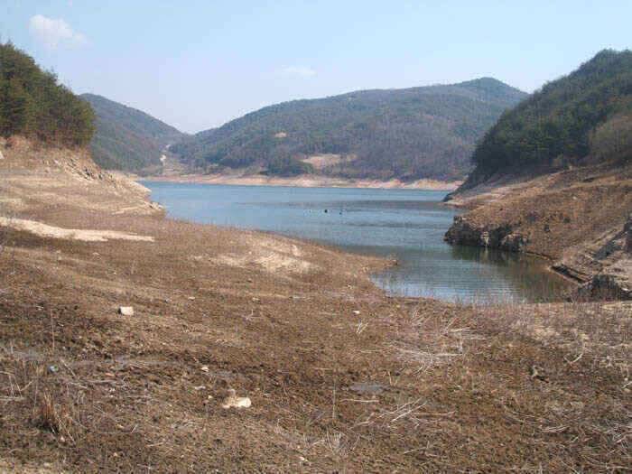 그림으로 보는 안동호 (조황조행기 - 낚시점조황)
