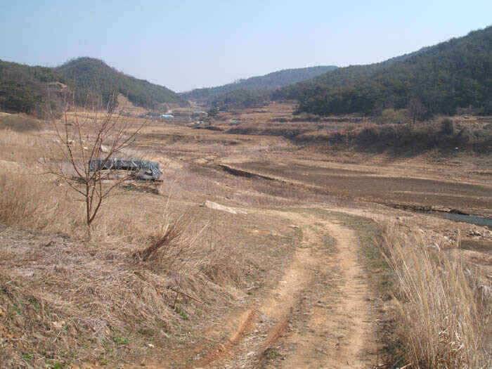 그림으로 보는 안동호 (조황조행기 - 낚시점조황)