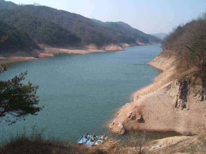 그림으로 보는 안동호 (조황조행기 - 낚시점조황)