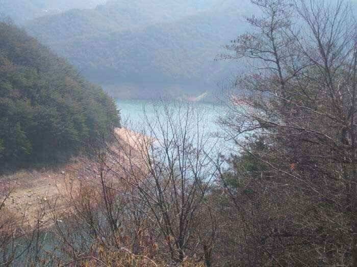 그림으로 보는 안동호 (조황조행기 - 낚시점조황)