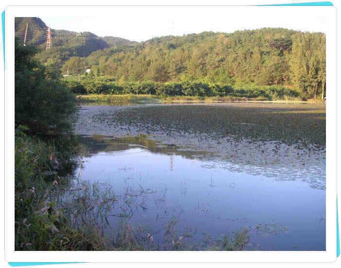 가을의 문턱에서 (조황조행기 - 낚시점조황)