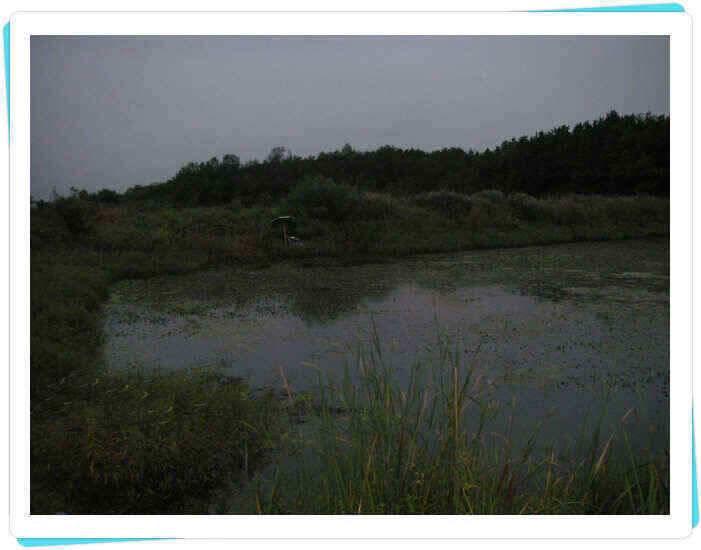 가을의 문턱에서 (조황조행기 - 낚시점조황)
