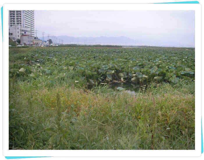 가을의 문턱에서 (조황조행기 - 낚시점조황)