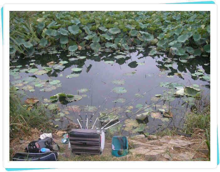 가을의 문턱에서 (조황조행기 - 낚시점조황)