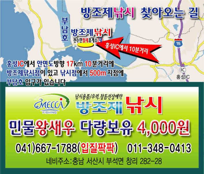 천수만부남호 4월29일 40cm 대물 덩어리조황 (조황조행기 - 낚시점조황)