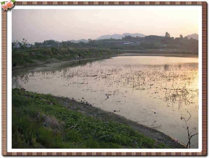 경산권 소식입니다 (조황조행기 - 낚시점조황)