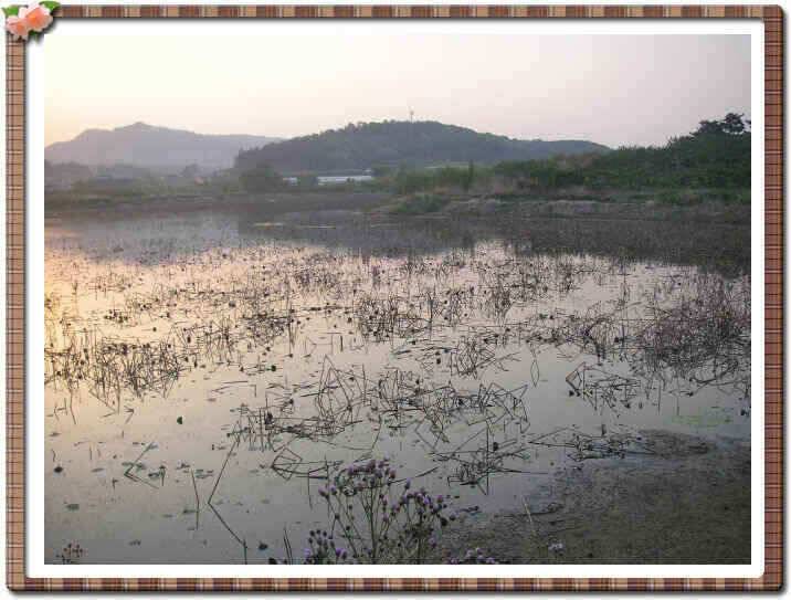 경산권 소식입니다 (조황조행기 - 낚시점조황)