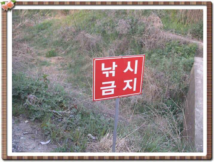 경산권 소식입니다 (조황조행기 - 낚시점조황)